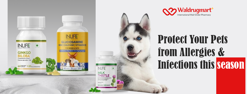 Keep Your Pets Safe: Beat Allergies & Infections